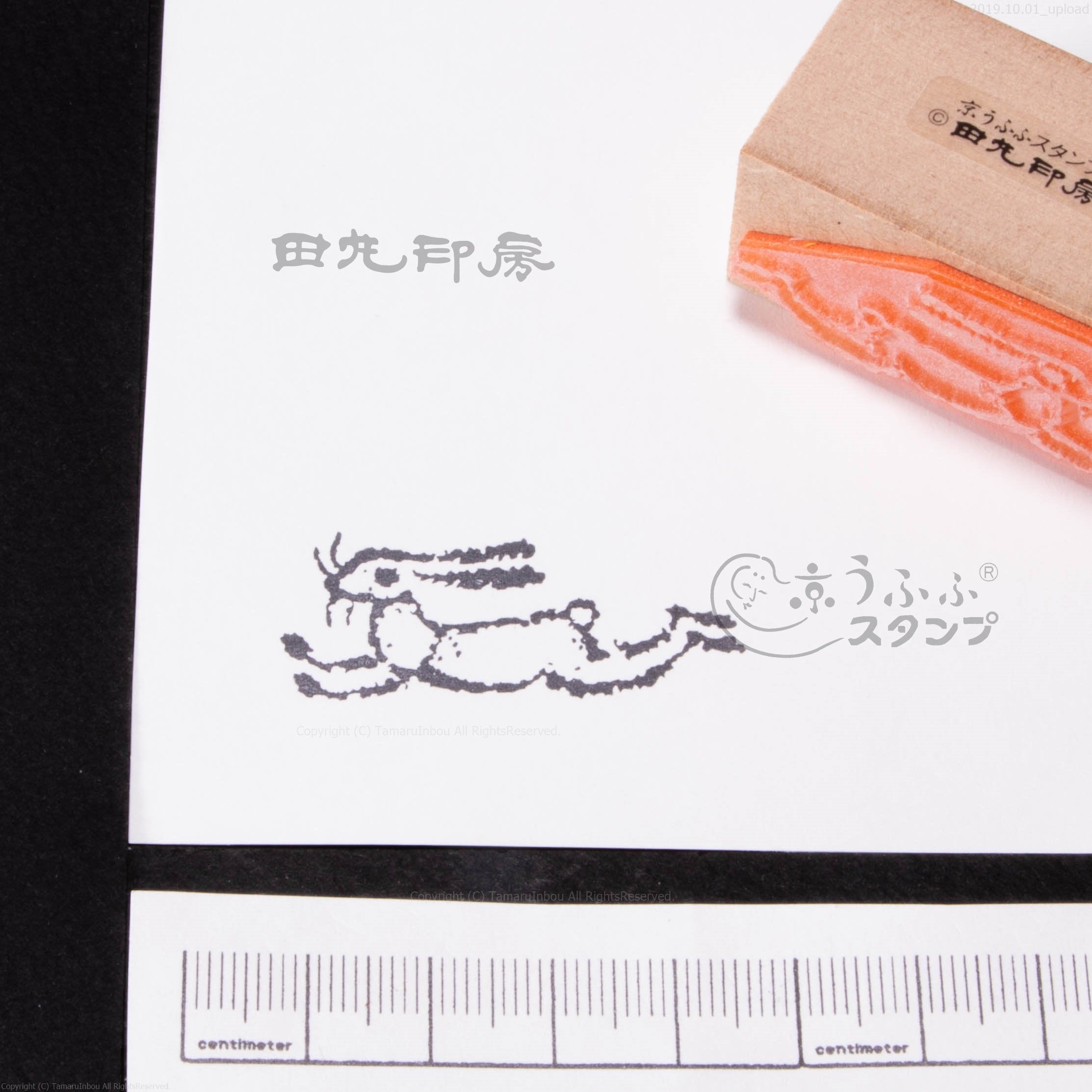 白跳びうさぎ