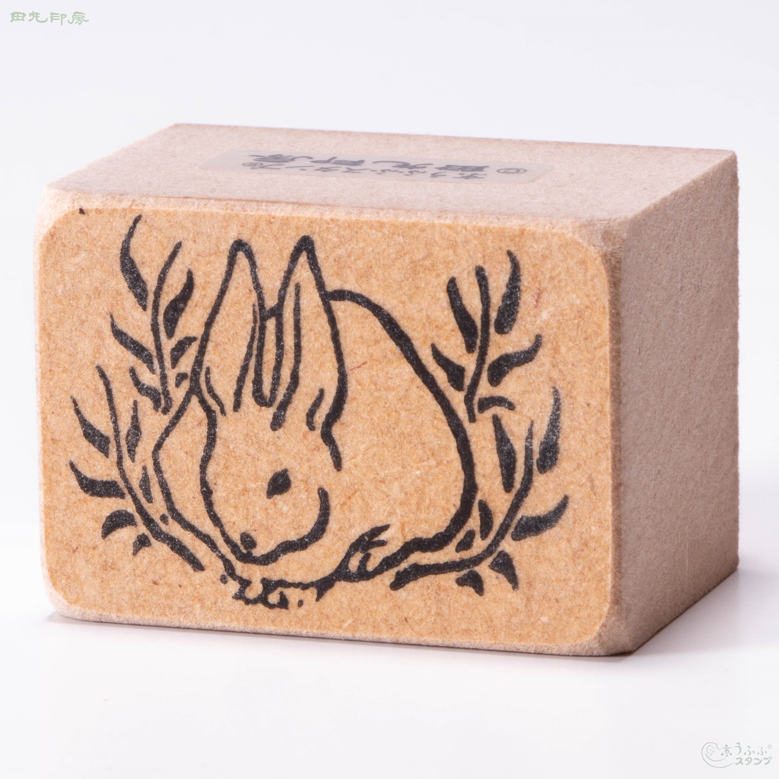Bush rabbit