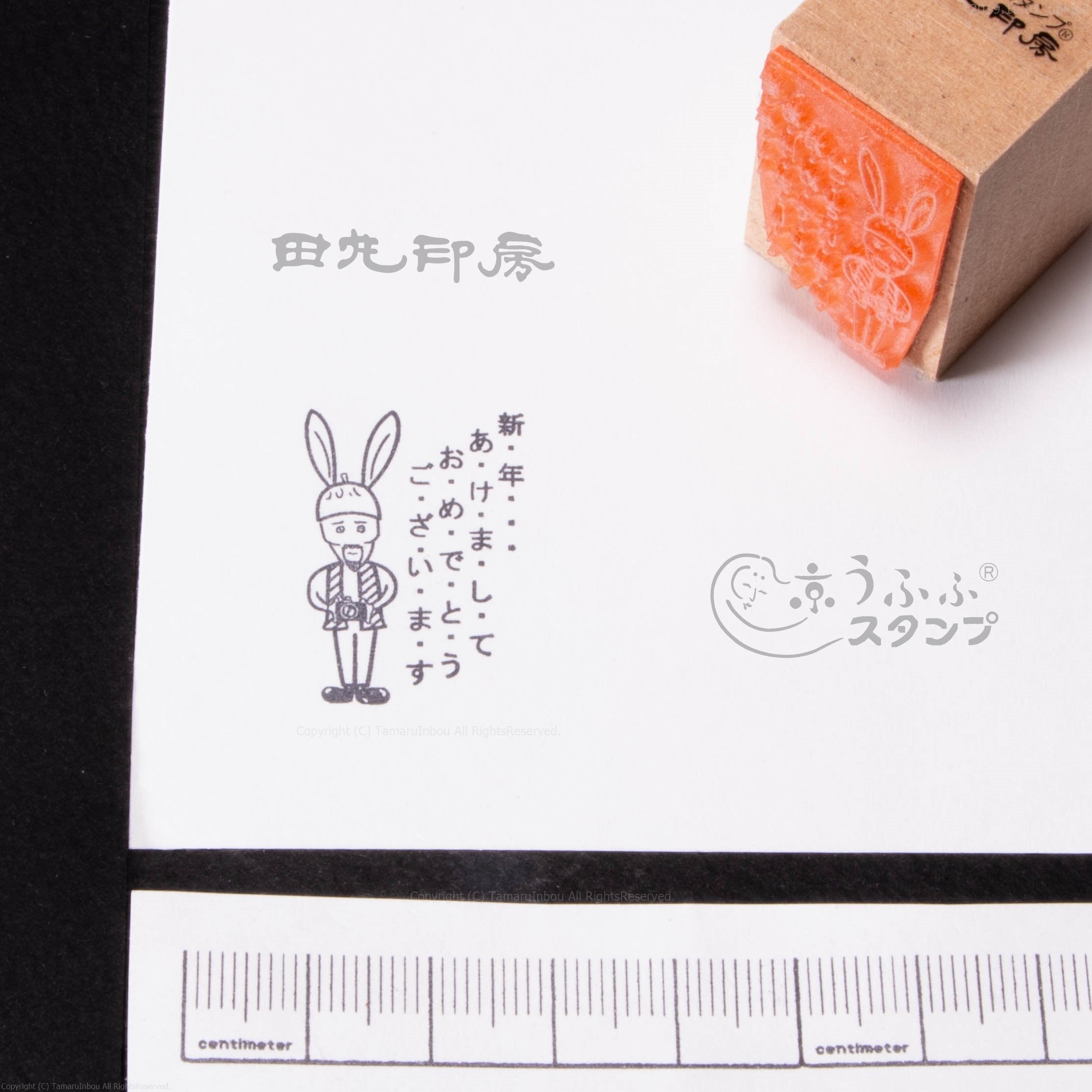 Photographer Rabbit