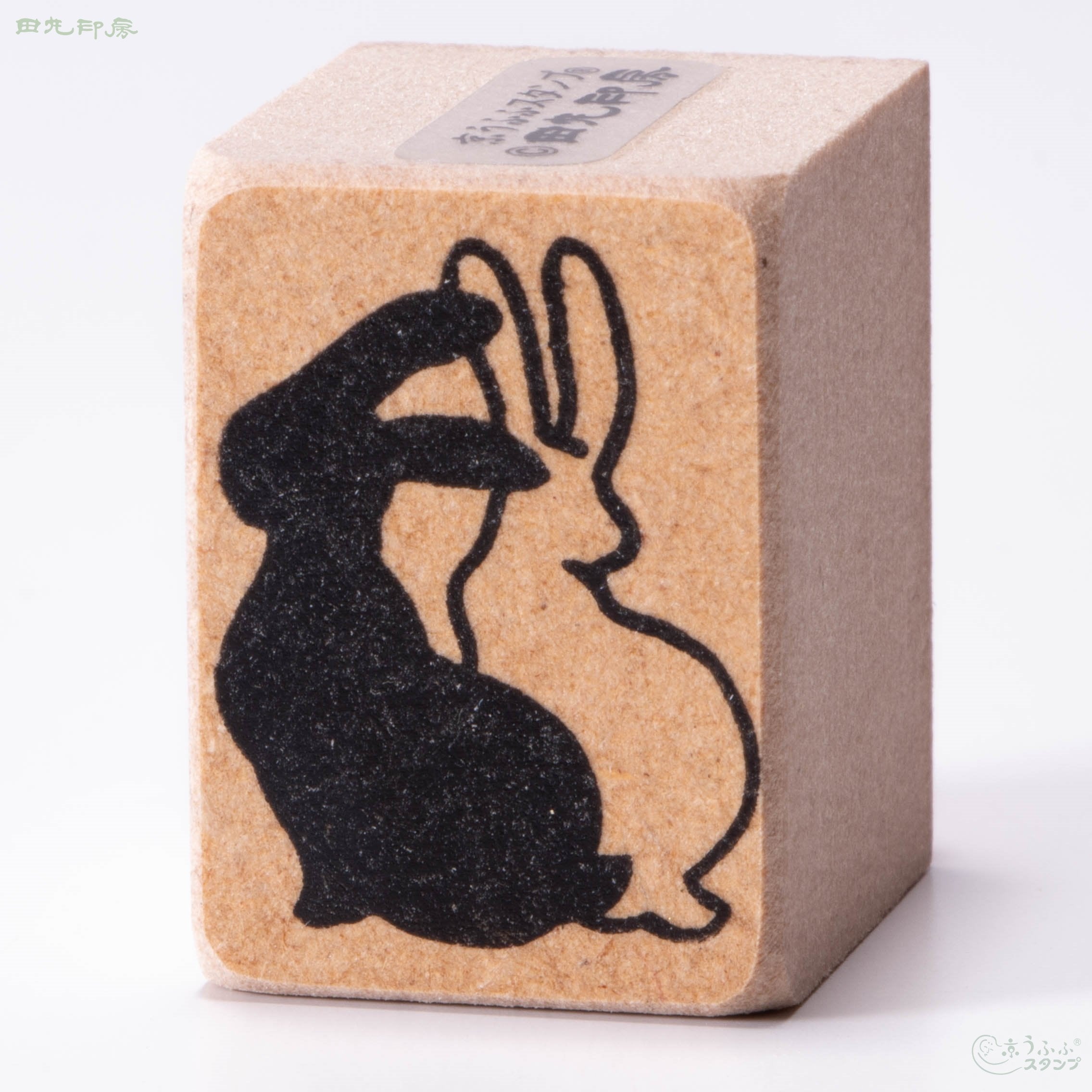 Black and white rabbit
