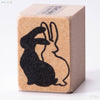 Black and white rabbit