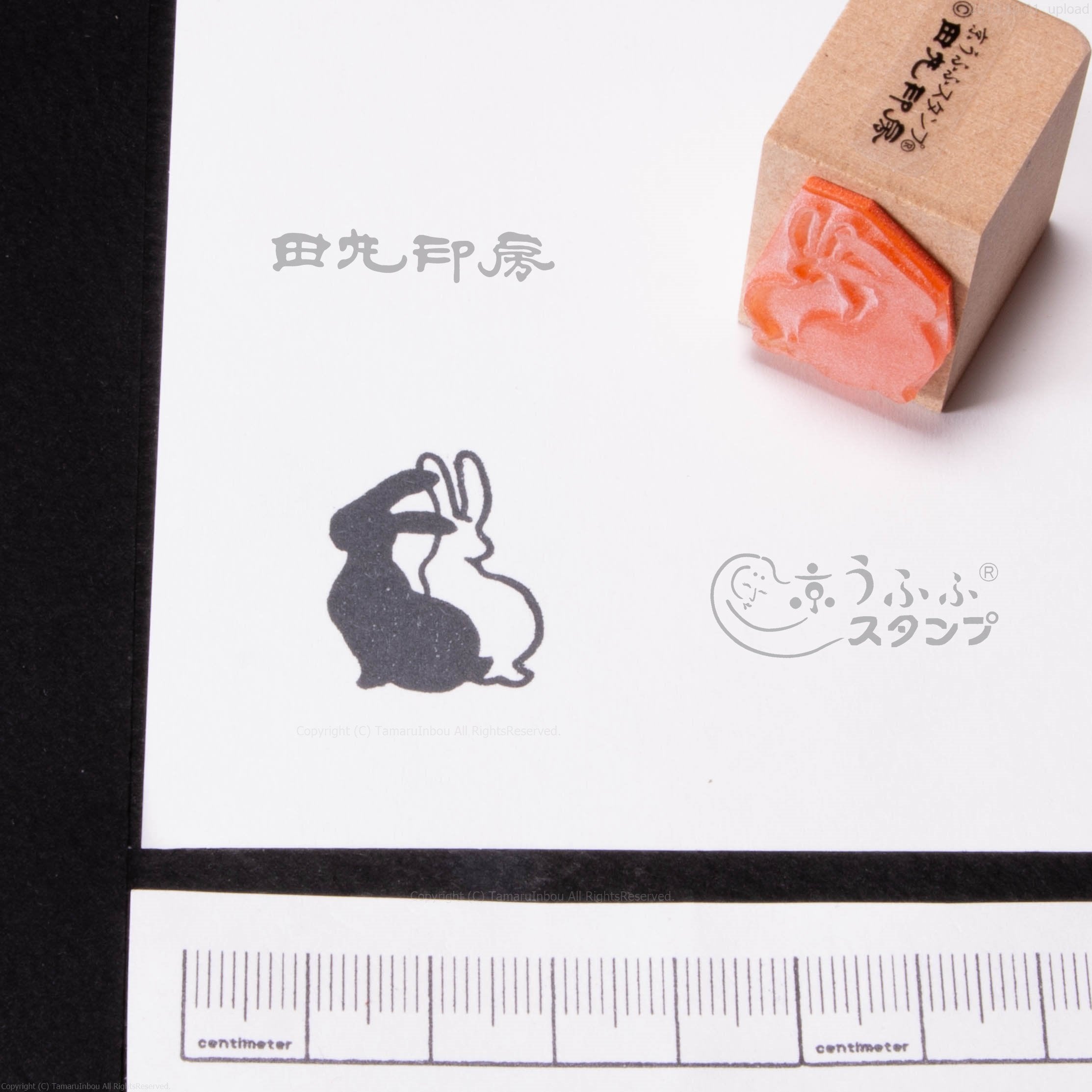 Black and white rabbit