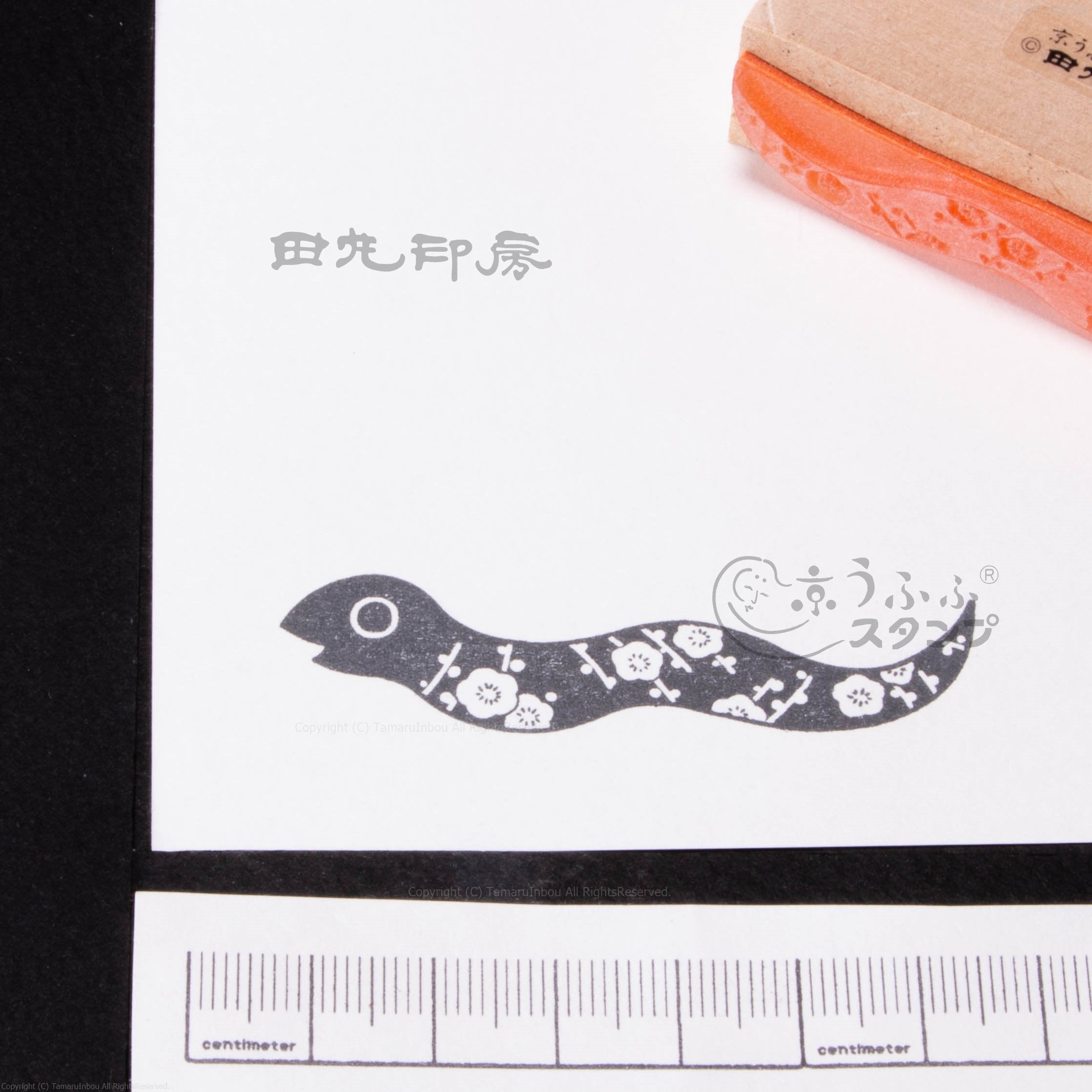 梅蛇