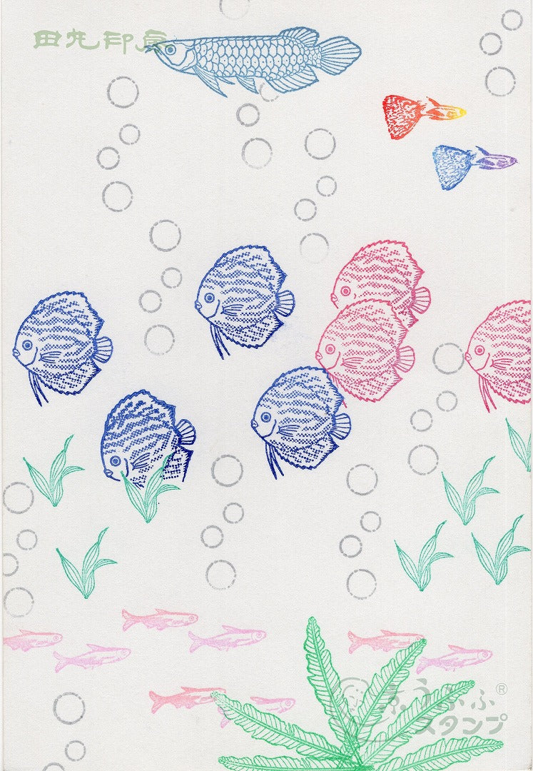 guppy