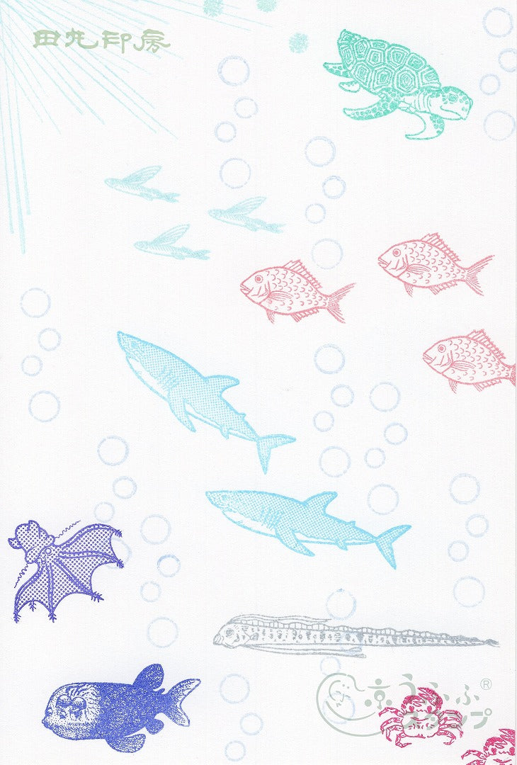 Sea turtle