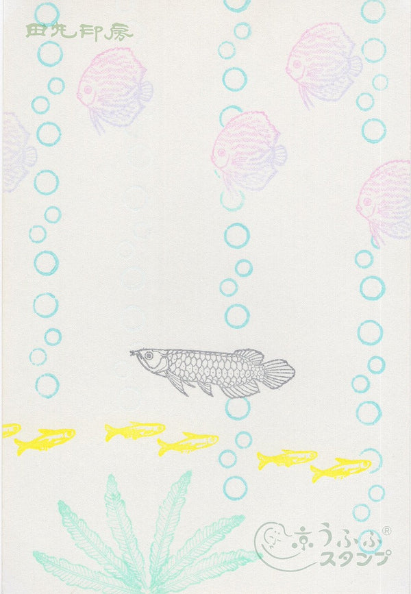 Neon Tetra