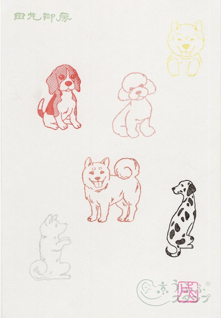 狗