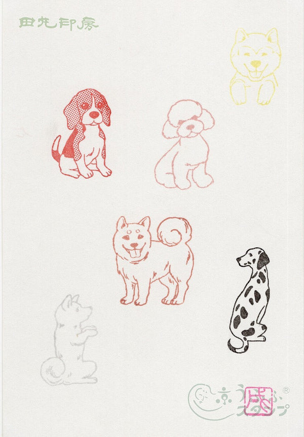 狗