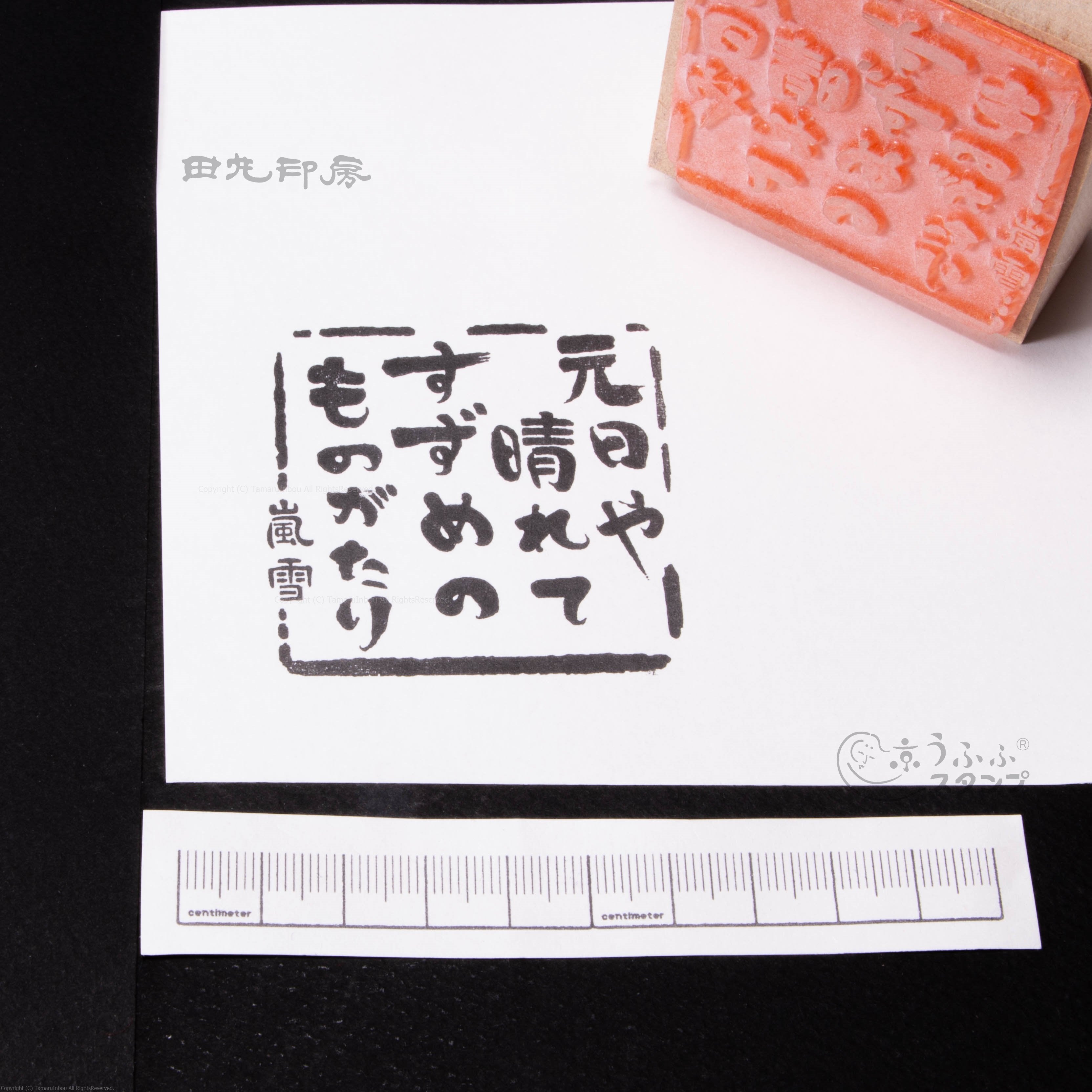 New Year's Day, Arashi Snow