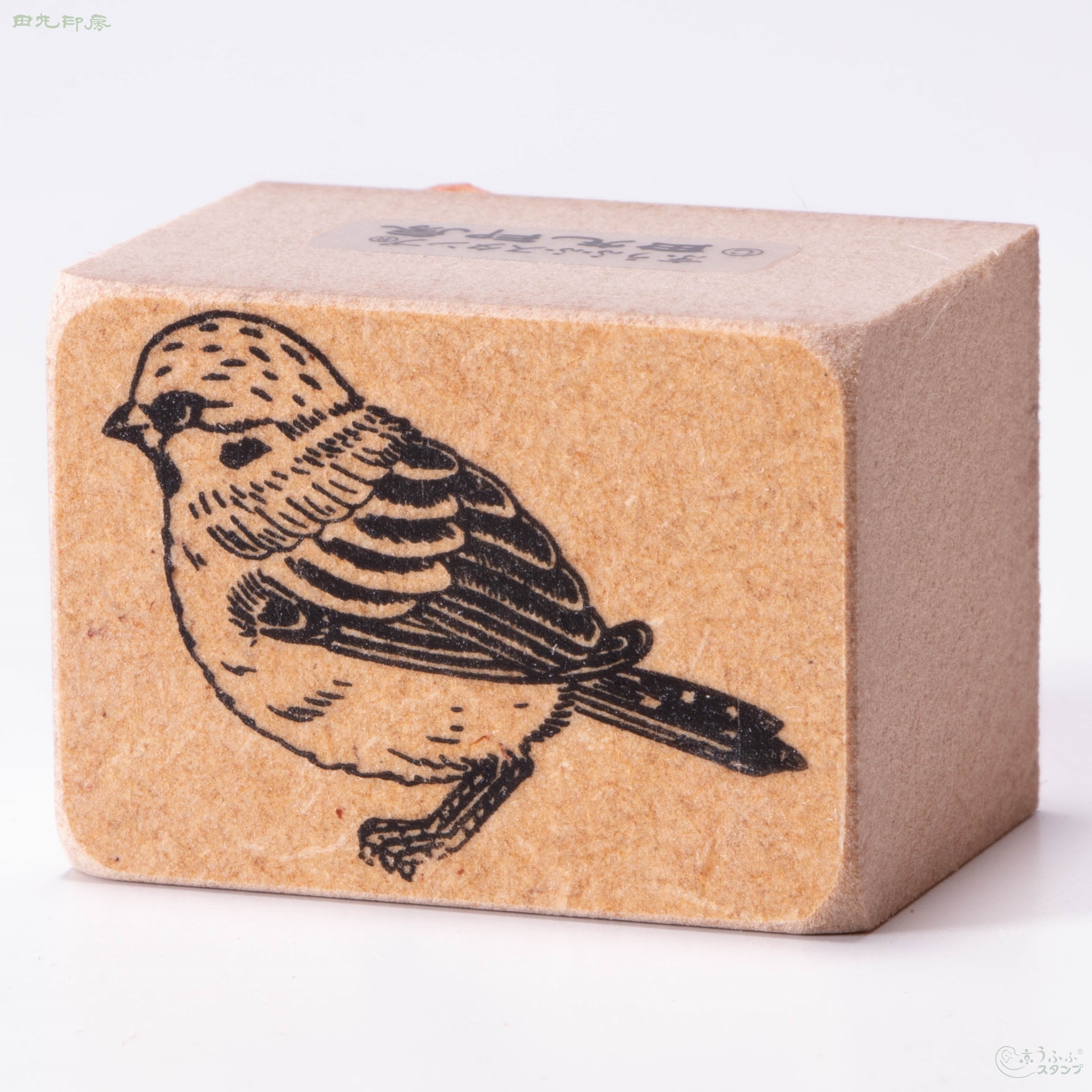 Large sparrow