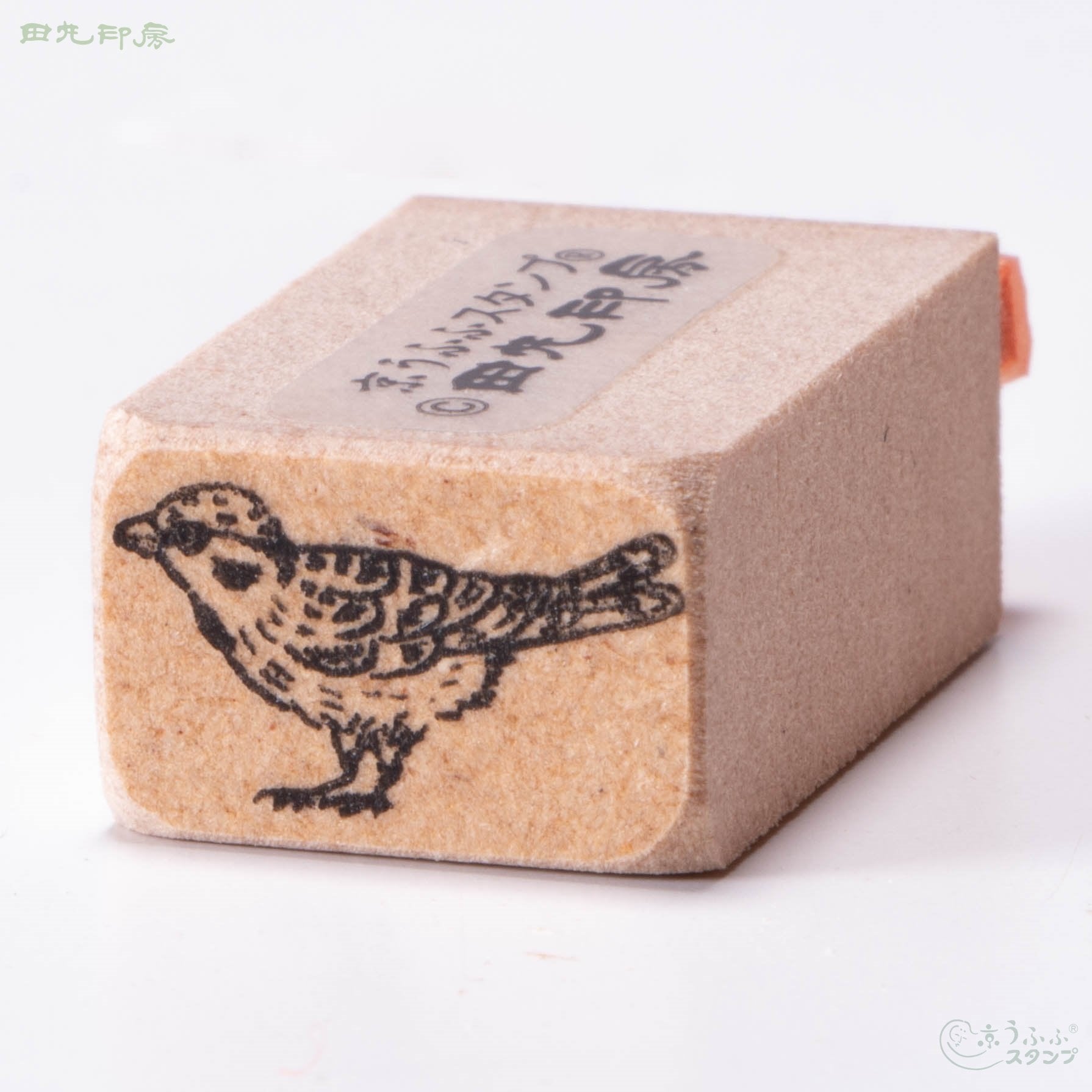 Sparrow small