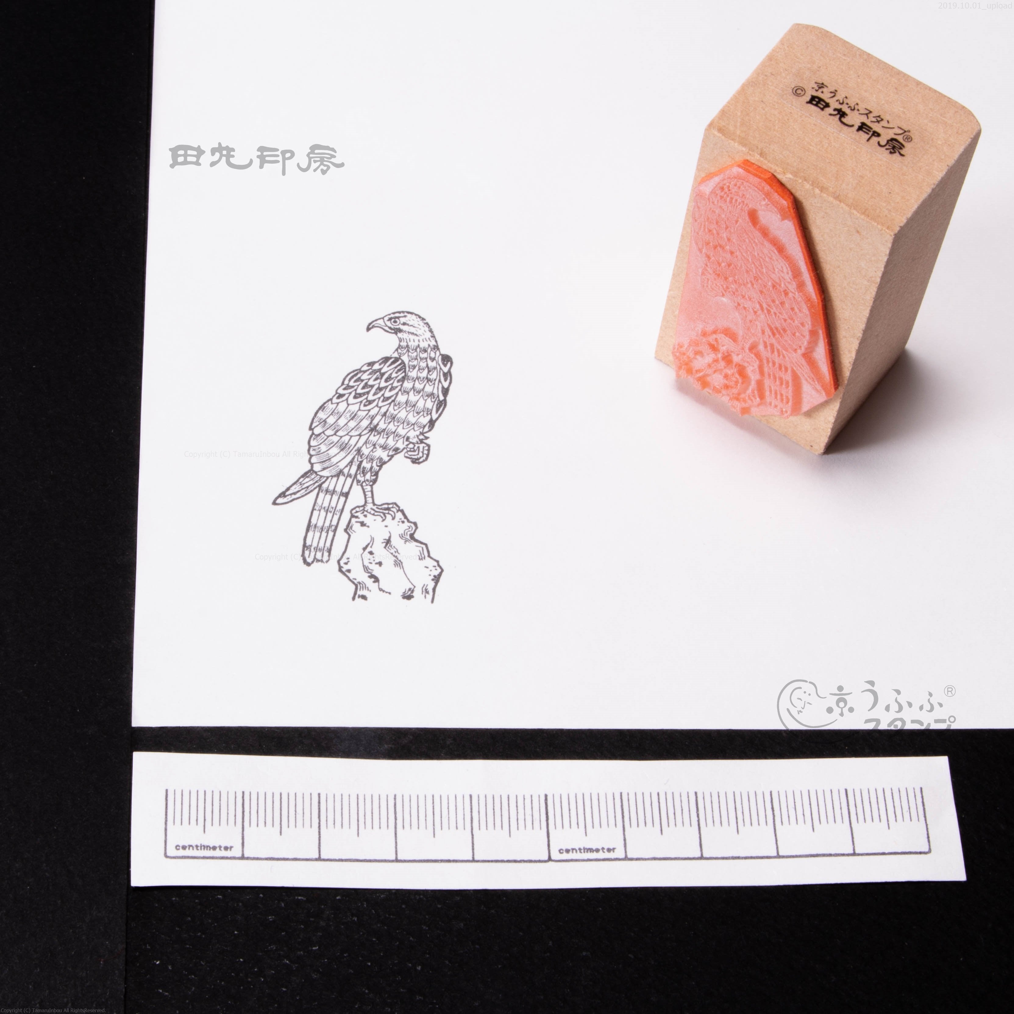 鷹