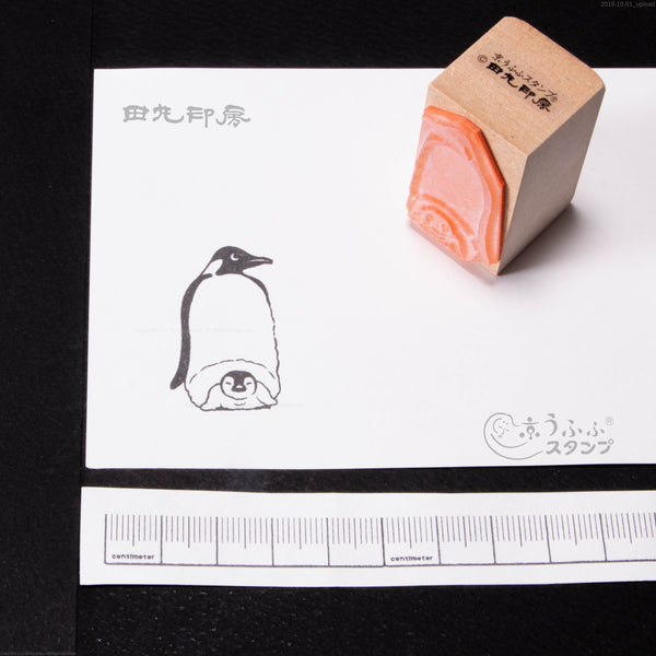 Penguin orang tua dan anak