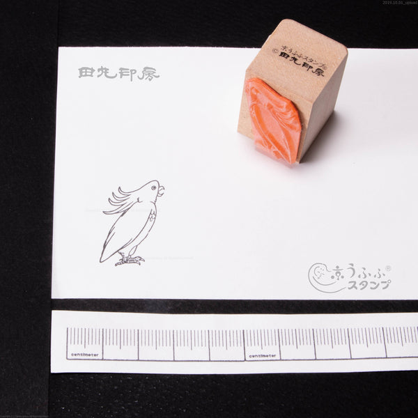 鸚鵡