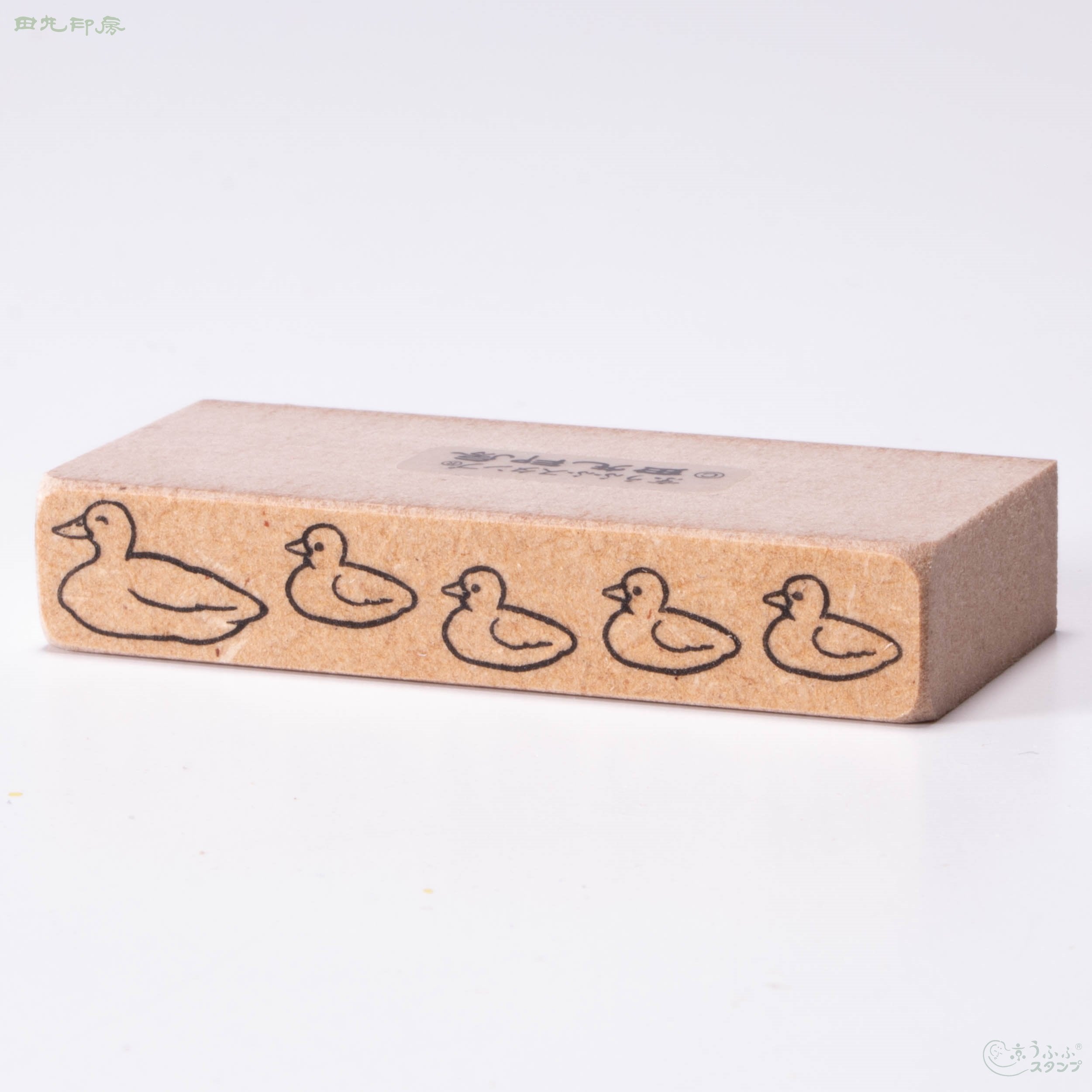 Duck Parents and Child
