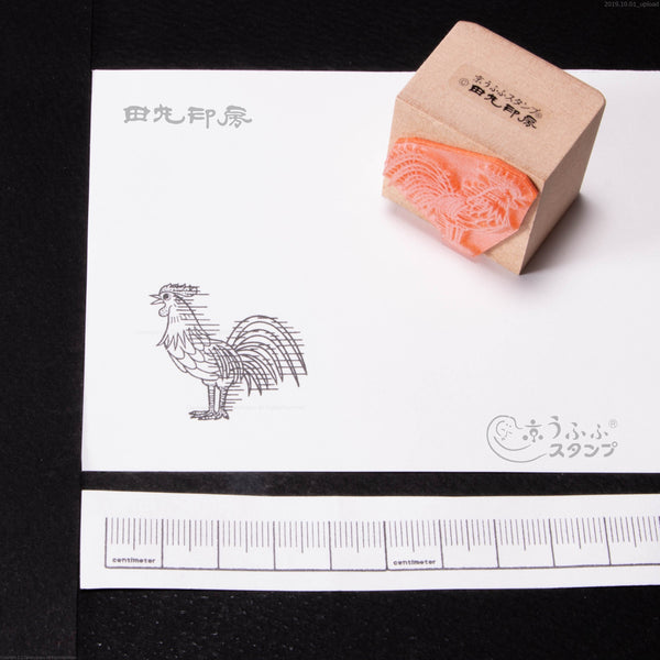 Asahi Bochi