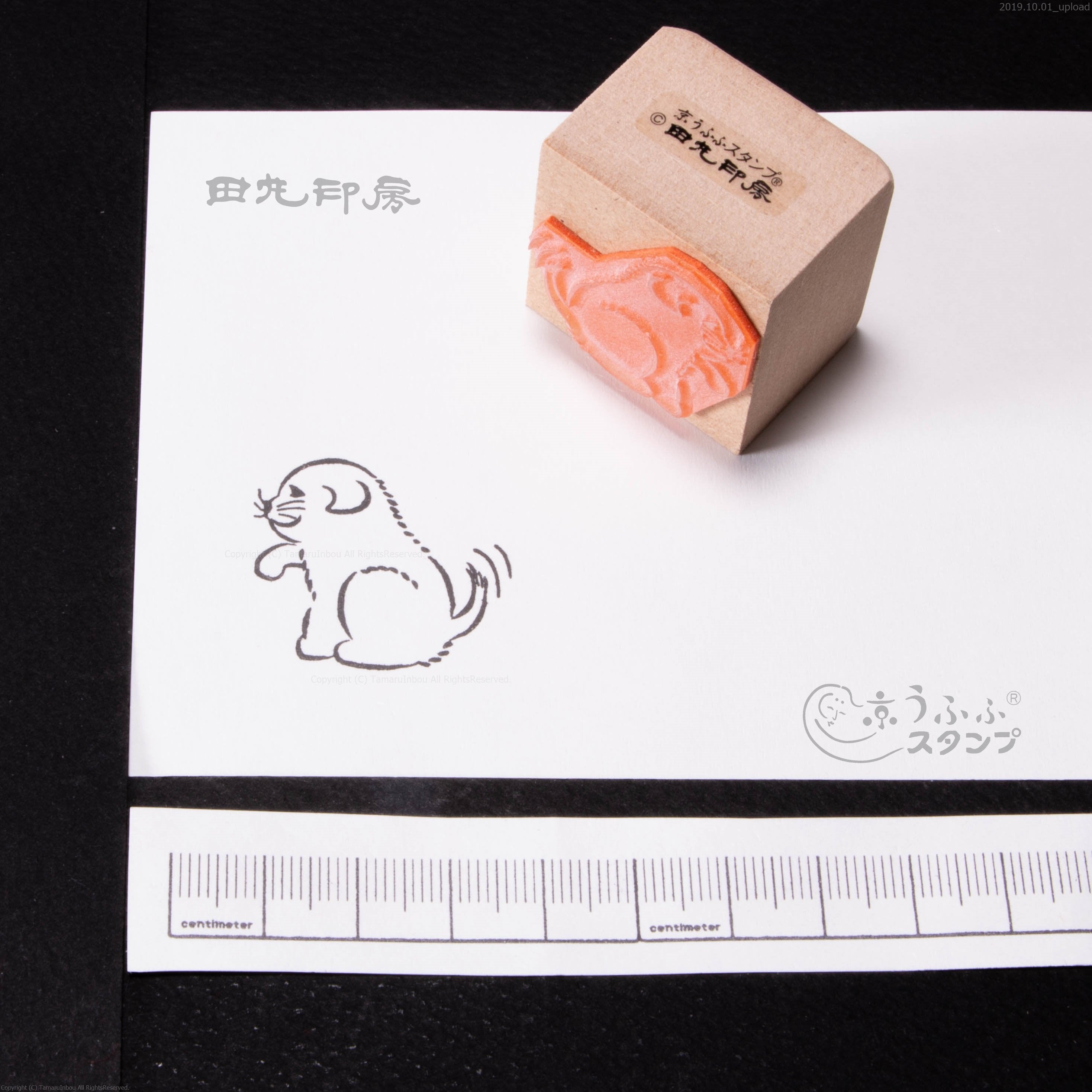 左側的小狗