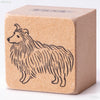 Collie whole body