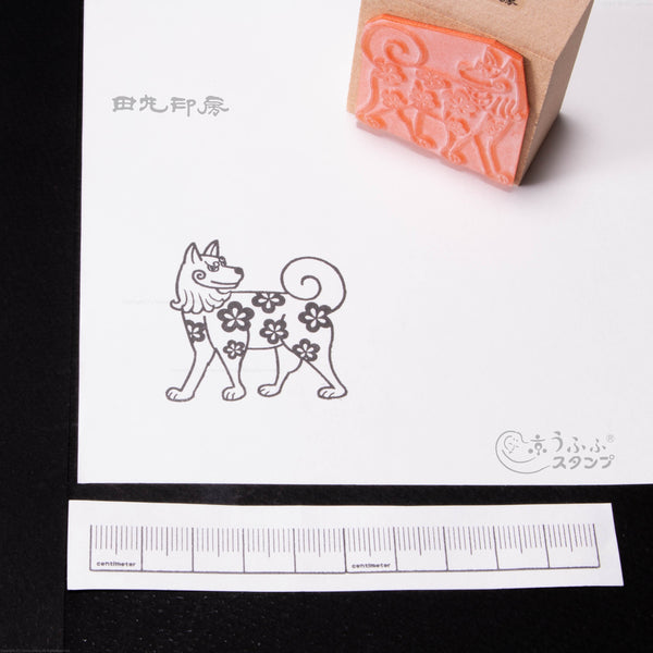 花柄犬