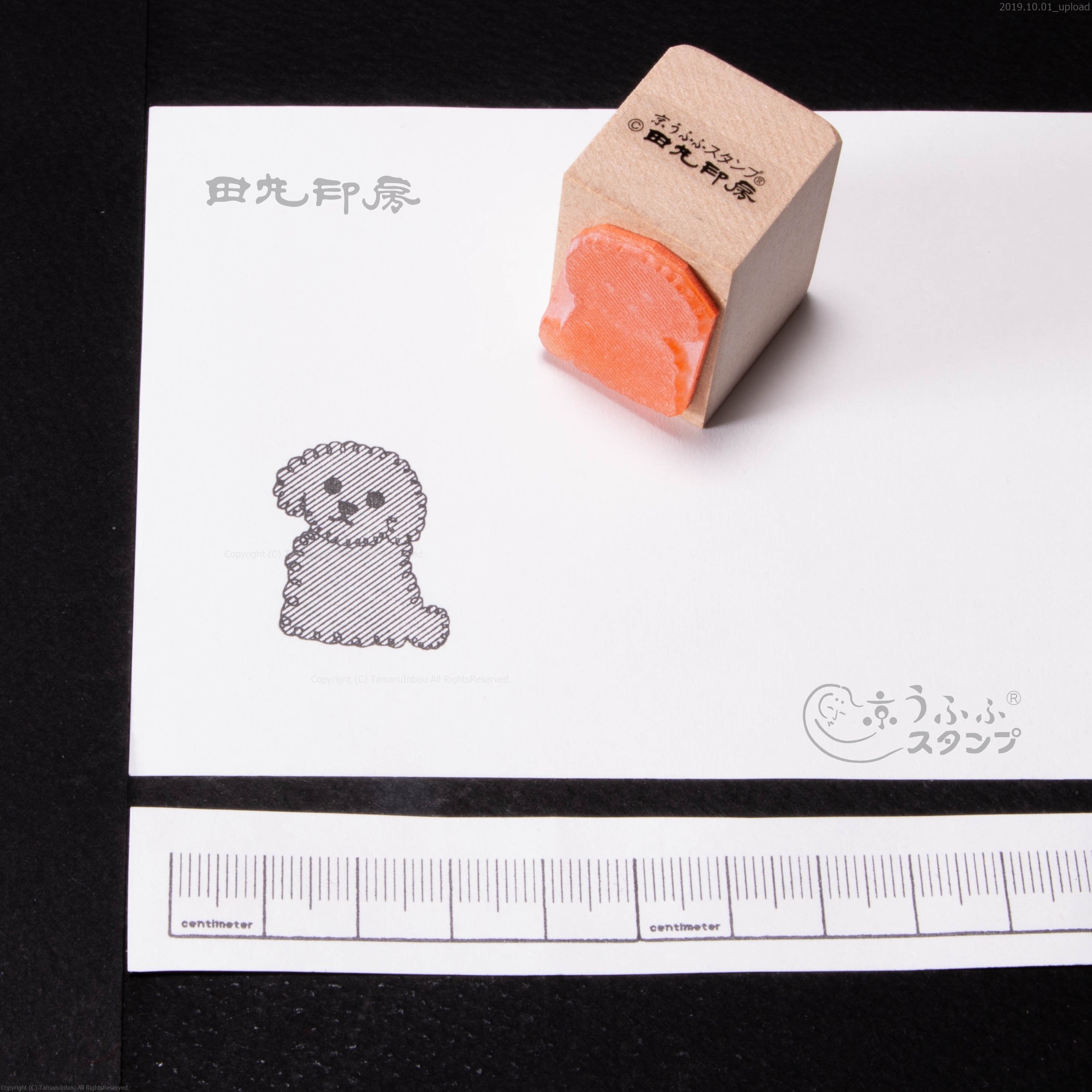 Caniche de jouet