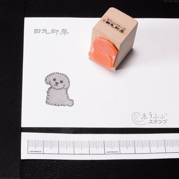 Caniche de jouet