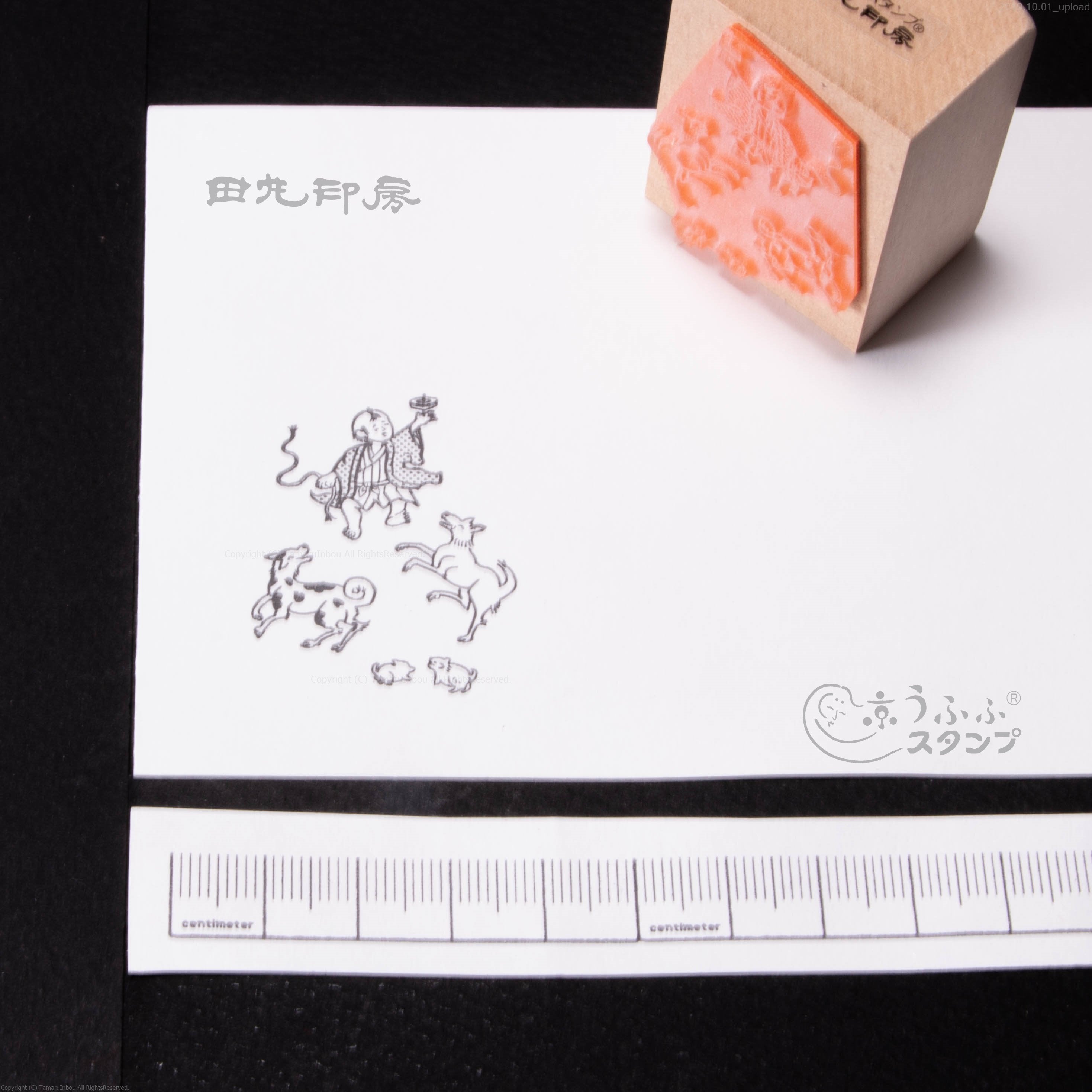 和狗一起玩
