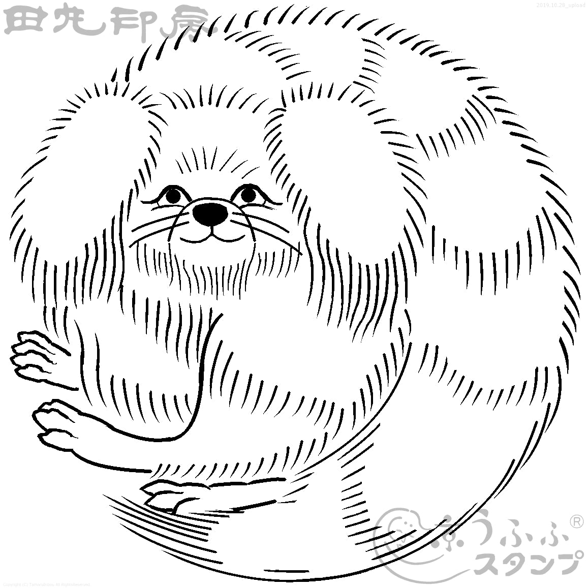 Large round dog