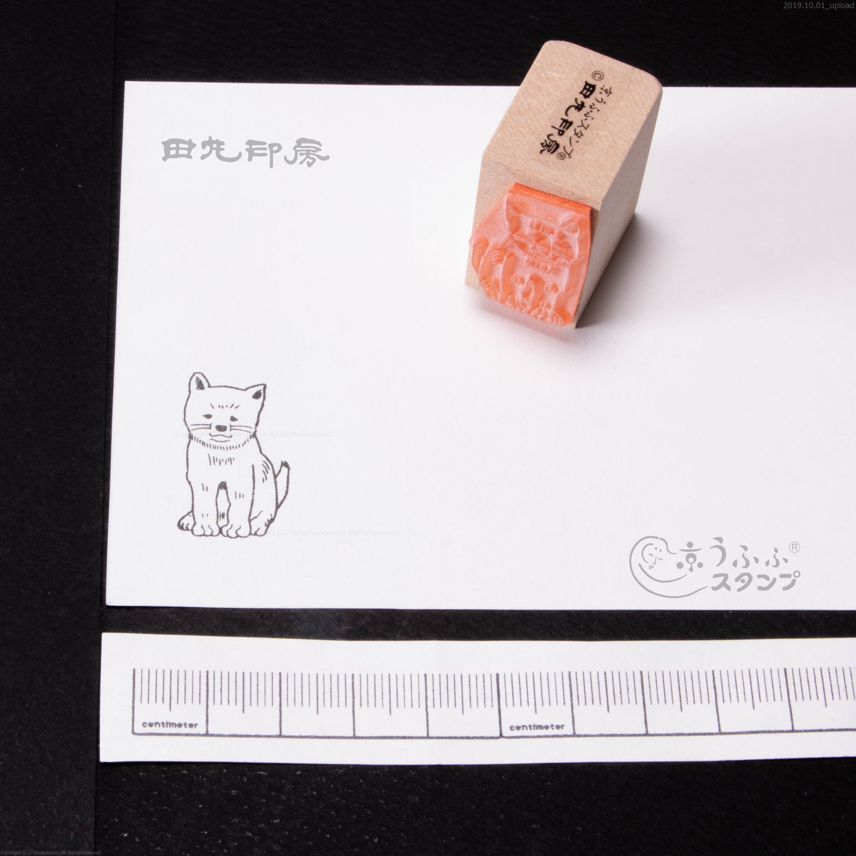 Sitting Shiba Inu