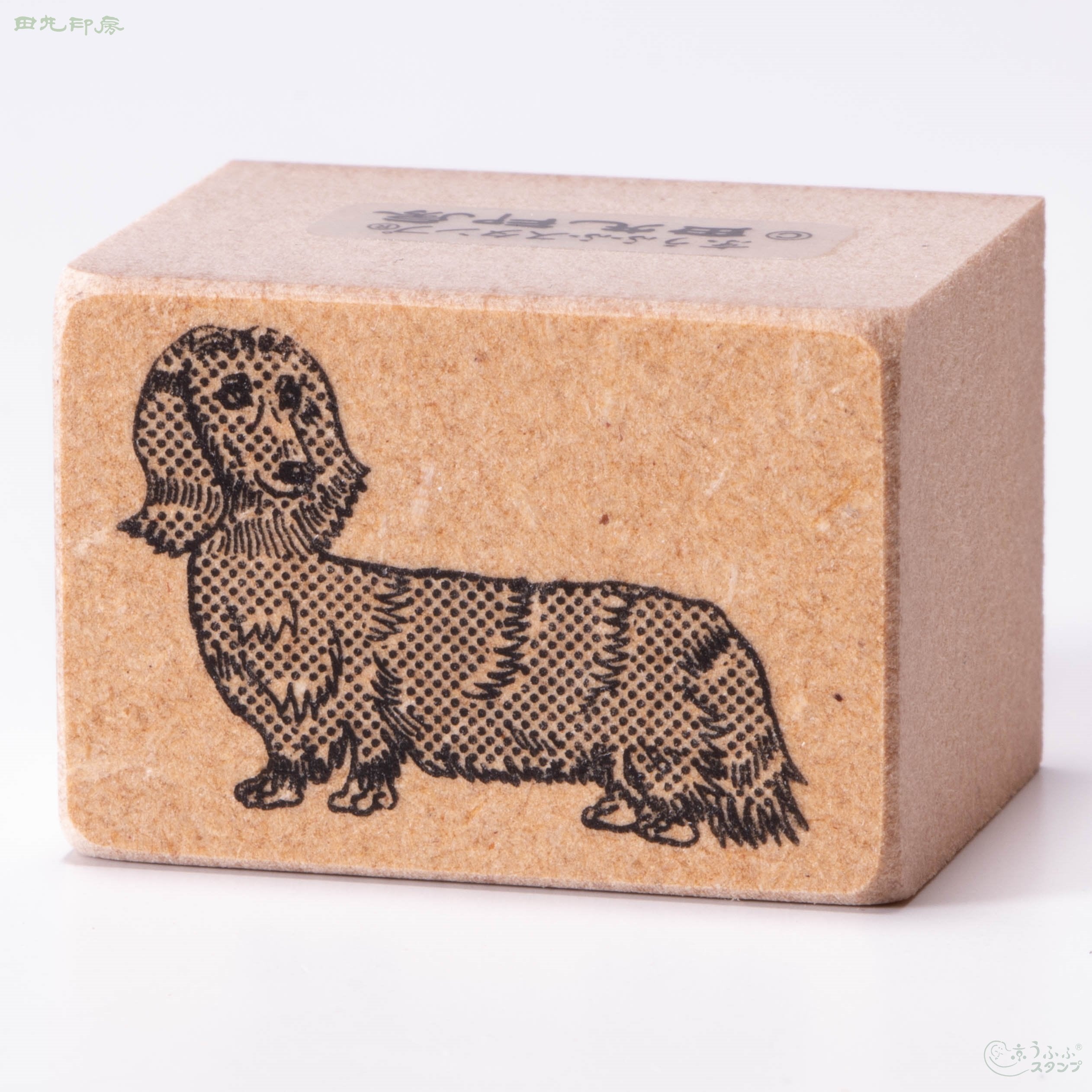 Long coat dachshund