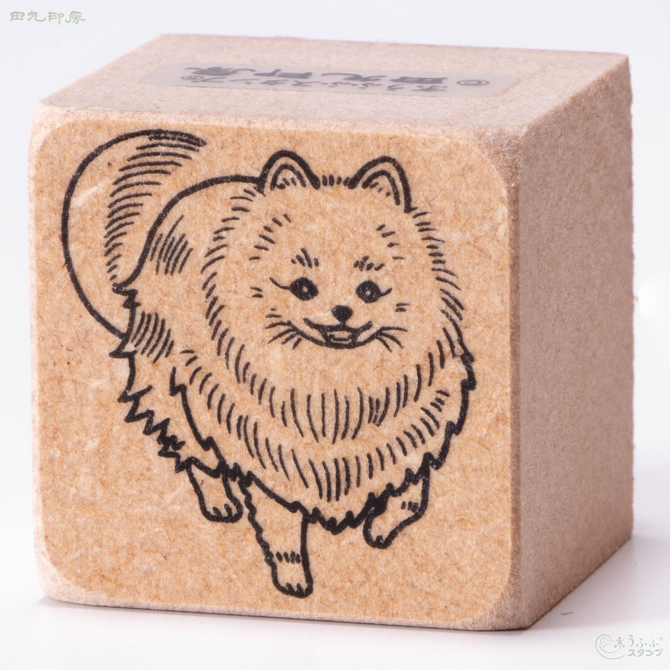 Pomeranian
