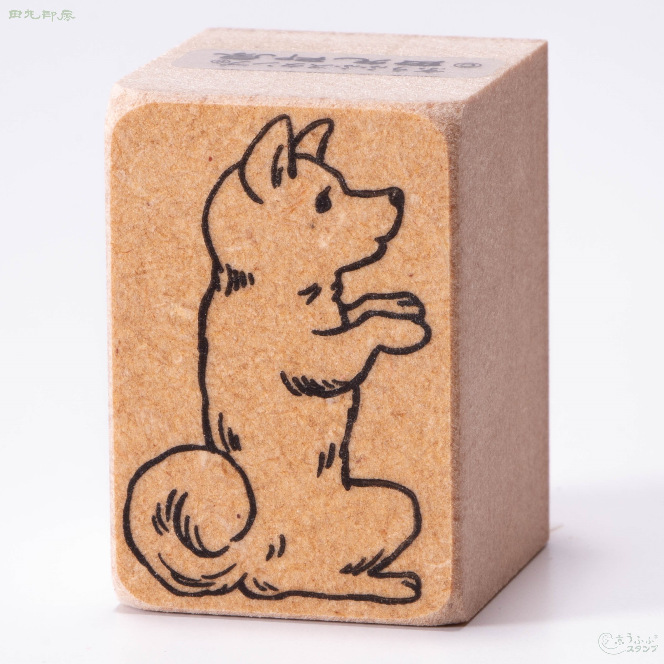 Shiba Inu memohon