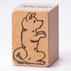 Shiba Inu memohon