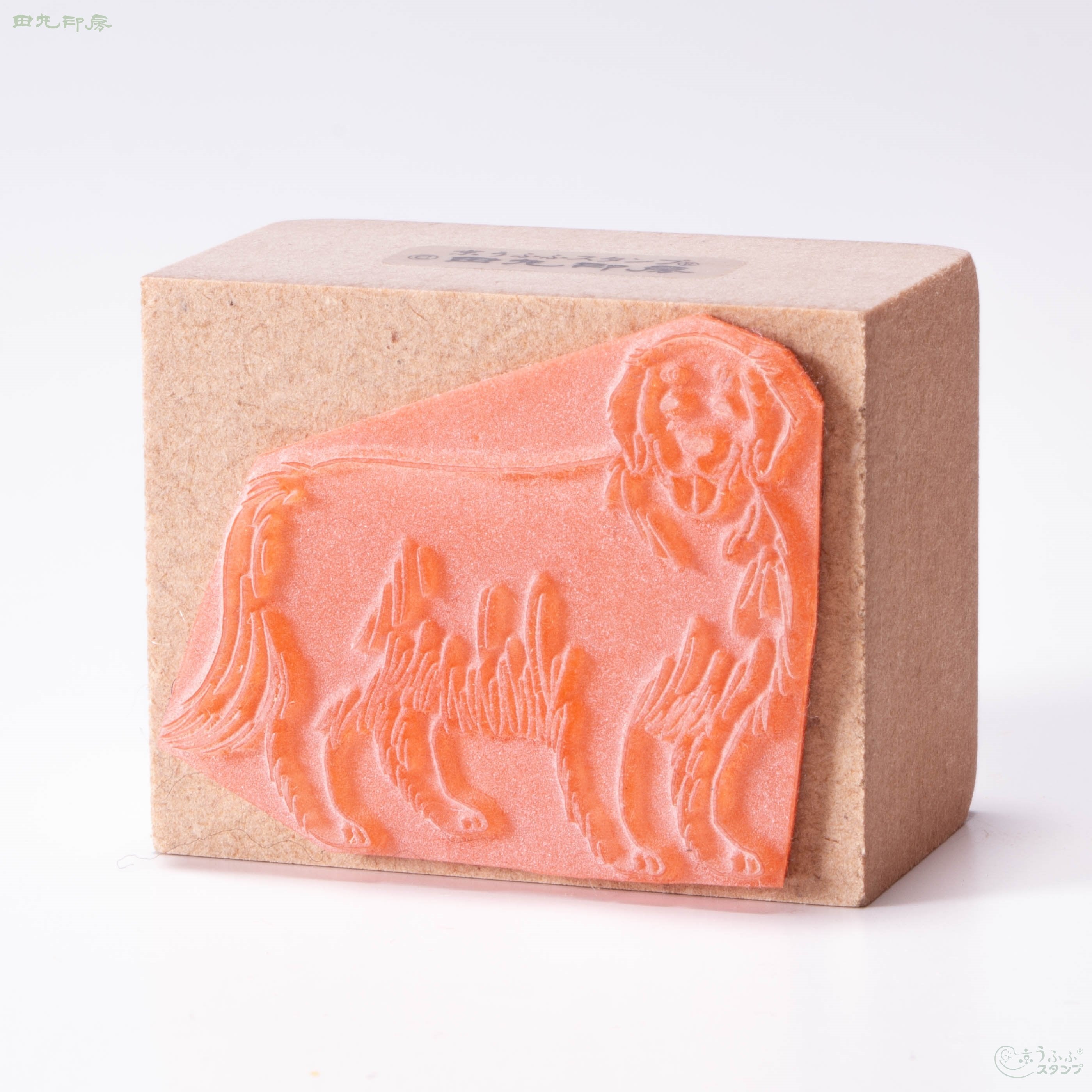 Retriever