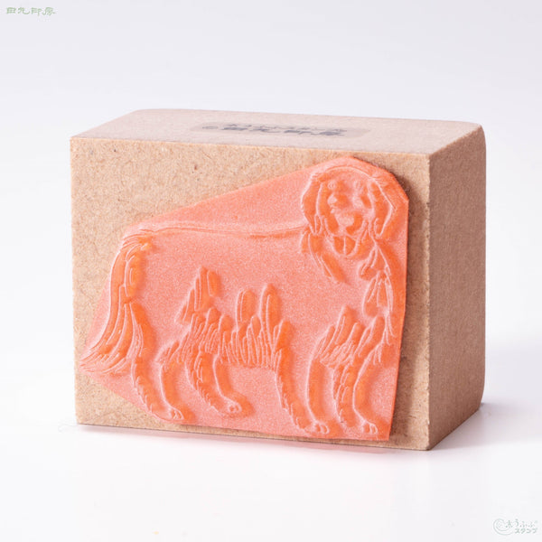 Retriever