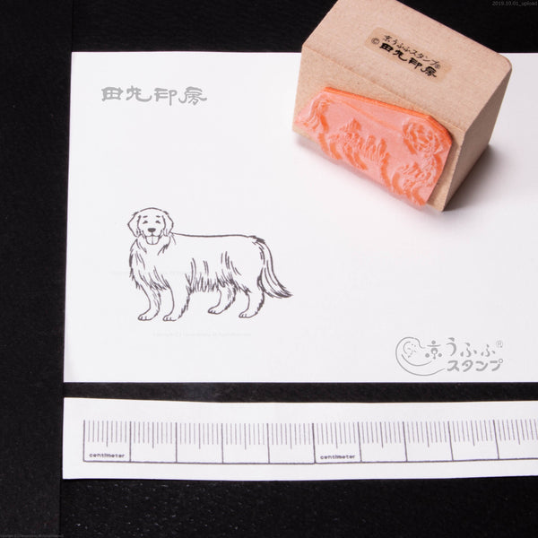 Retriever