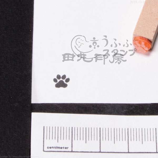 犬の足跡
