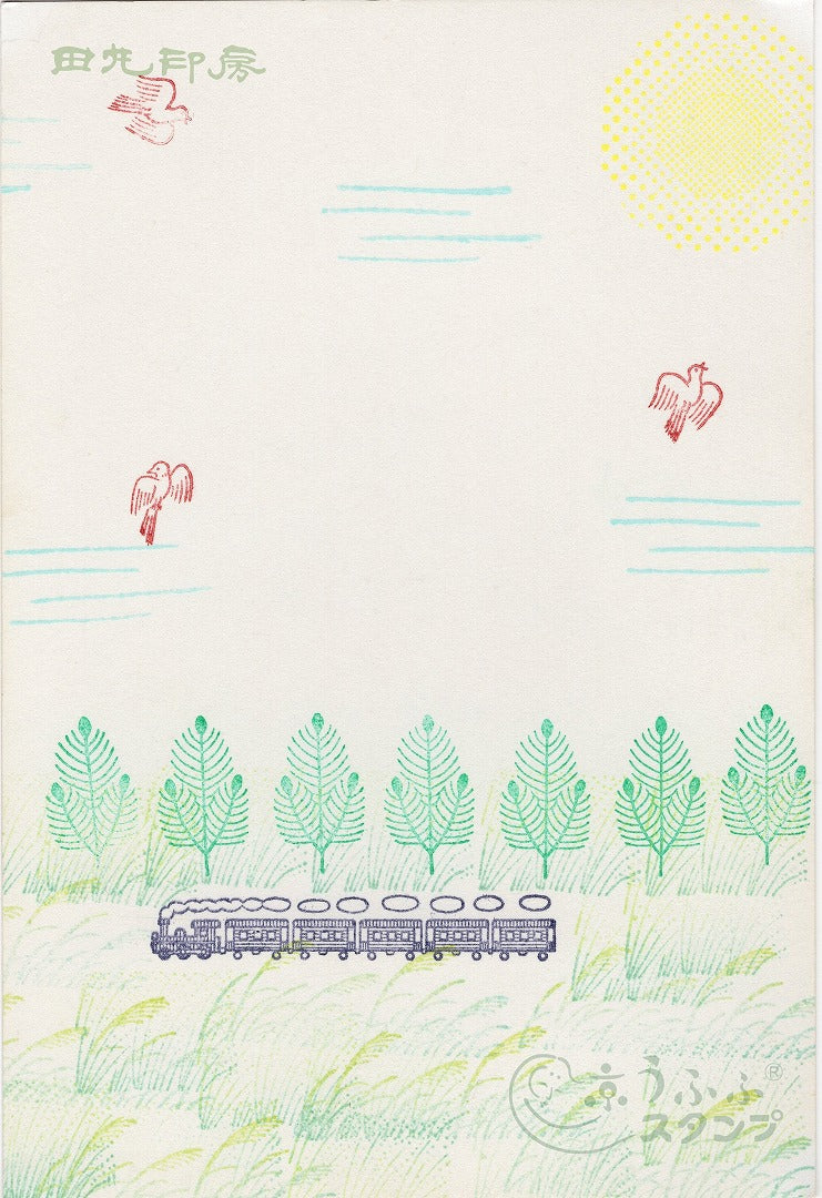 Pola pinus