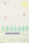 Pola pinus