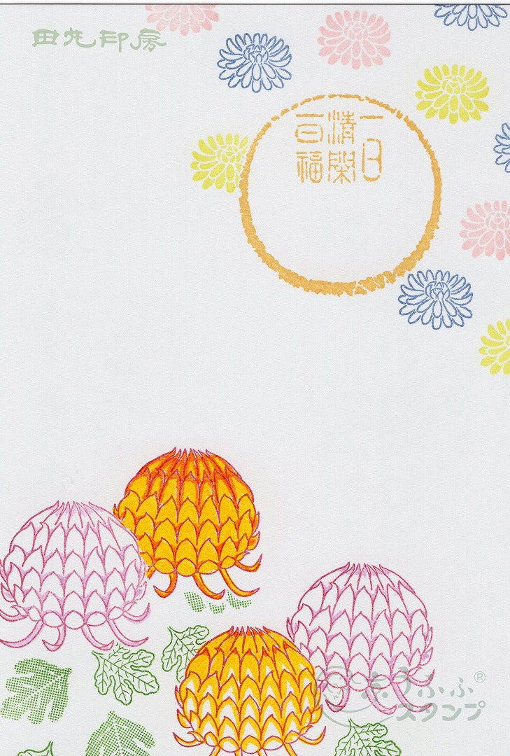 菊花(大)