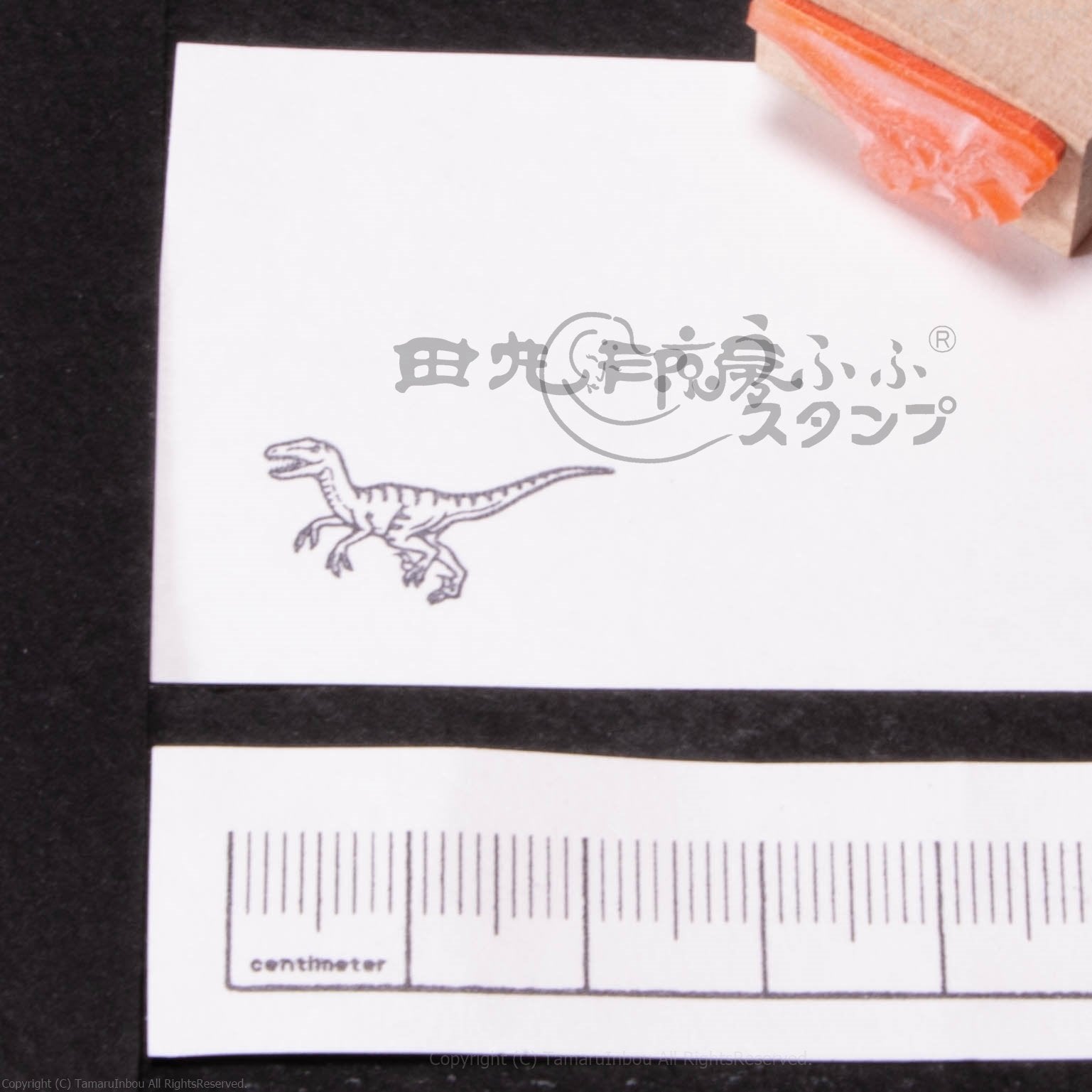 Velociraptor