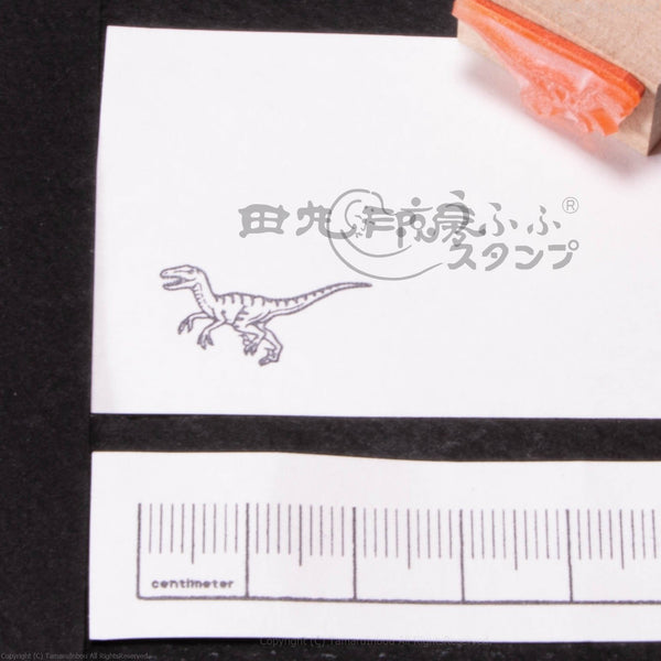 Velociraptor