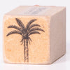 Cycad