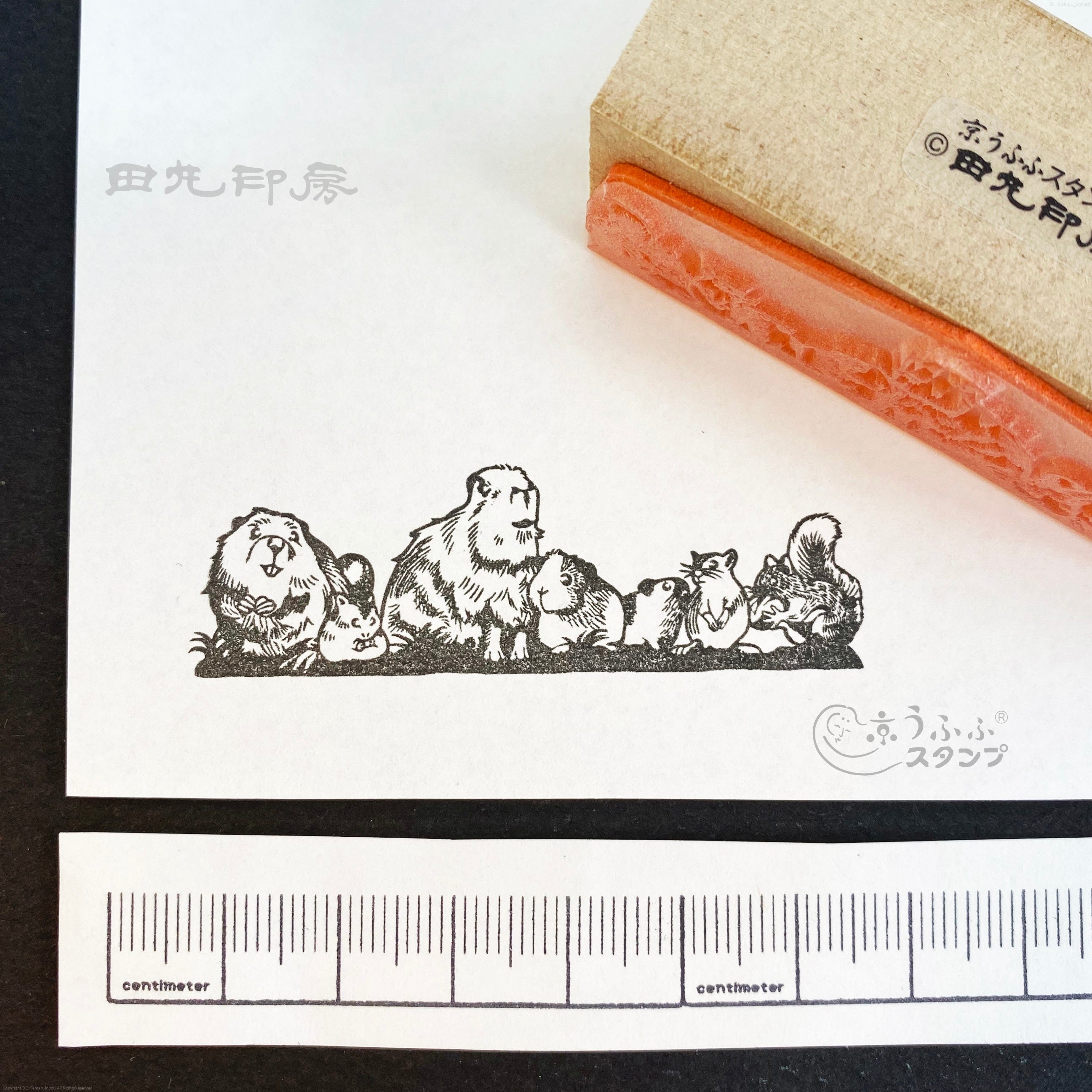 Rats gathering