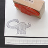 Real Apatosaurus