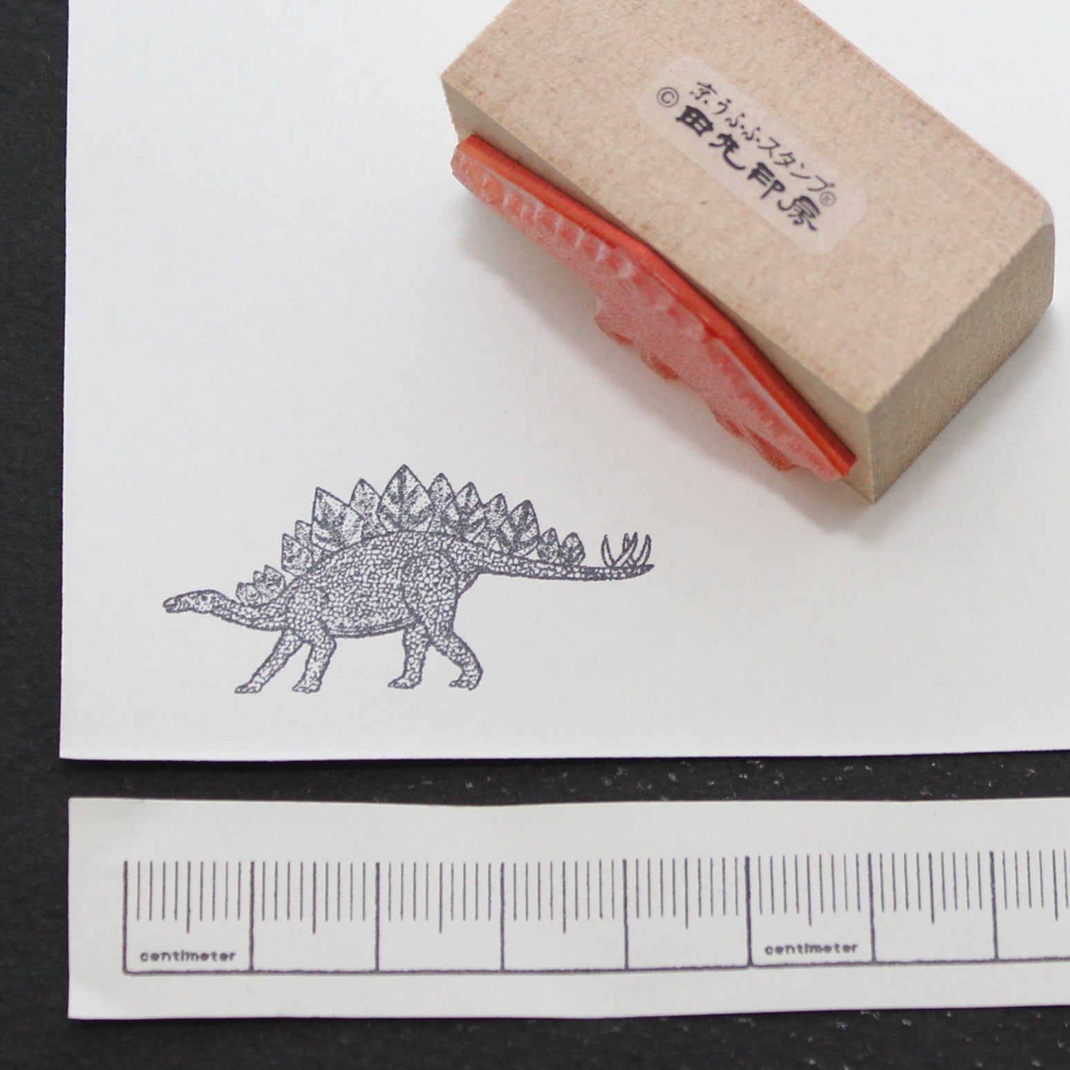 Real Stegosaurus