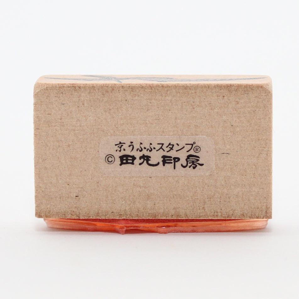 真正的翼龍