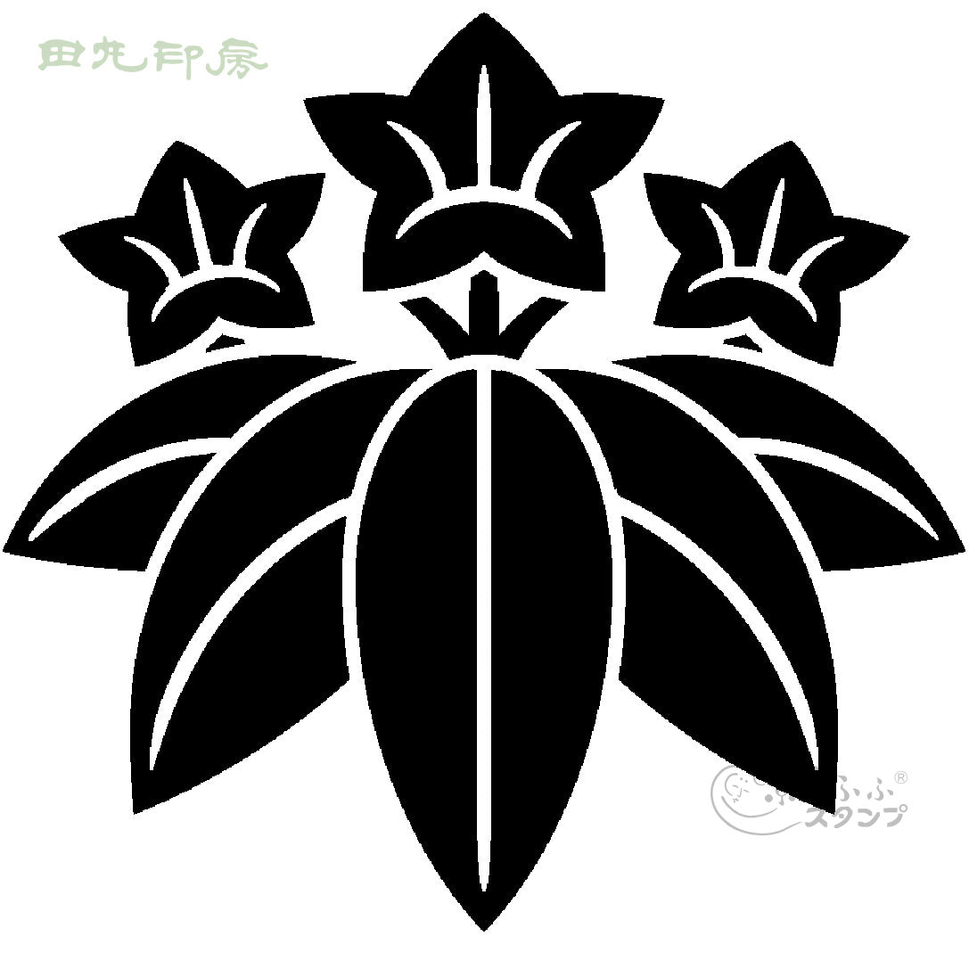 Sasa Ryubi