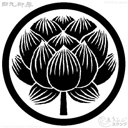 Fleur de lotus sur le milieu