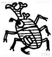Mini stamp beetle