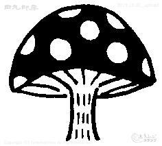 Mini-stamp mushroom